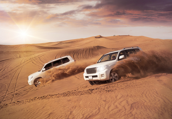 Desert Adventure