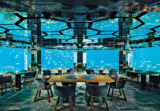 Fine Dining
